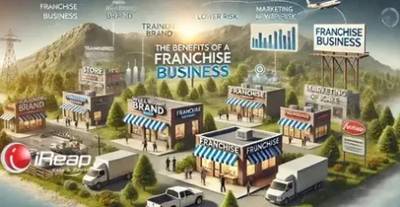 advantages of franchise business